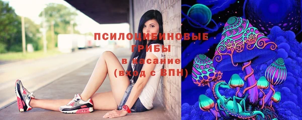 apvp Армянск