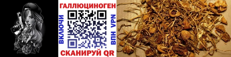 что такое наркотик  Нестеров  Галлюциногенные грибы ЛСД 